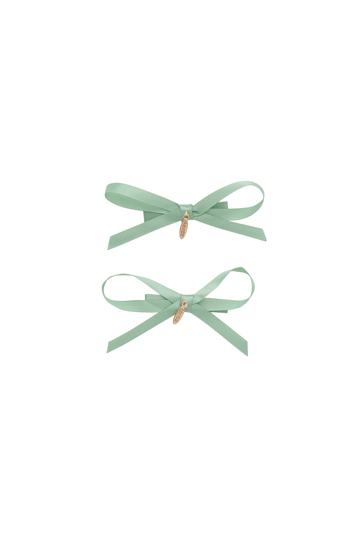 Gerber Clip Set of 2 - Sage Green *New Color September 2024*