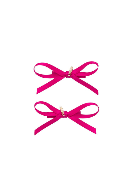 Gerber Clip Set of 2 - Azalea Hot Pink